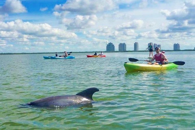 Guided Island EcoTour: CLEAR/Standard Kayak, SUP - Bonita Springs - Clear kayaks, standard kayaks, and paddleboards