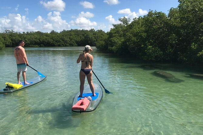 Guided Island EcoTour: CLEAR/Standard Kayak, SUP - Bonita Springs - The guides make the difference