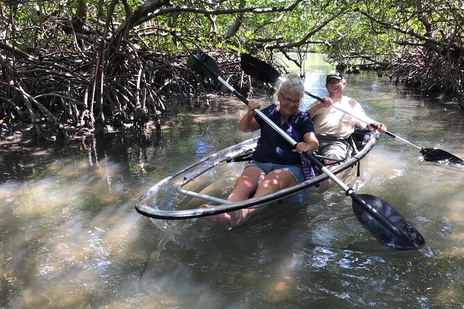 Guided Island EcoTour: CLEAR/Standard Kayak, SUP - Bonita Springs - Weather, tides, and what to pack