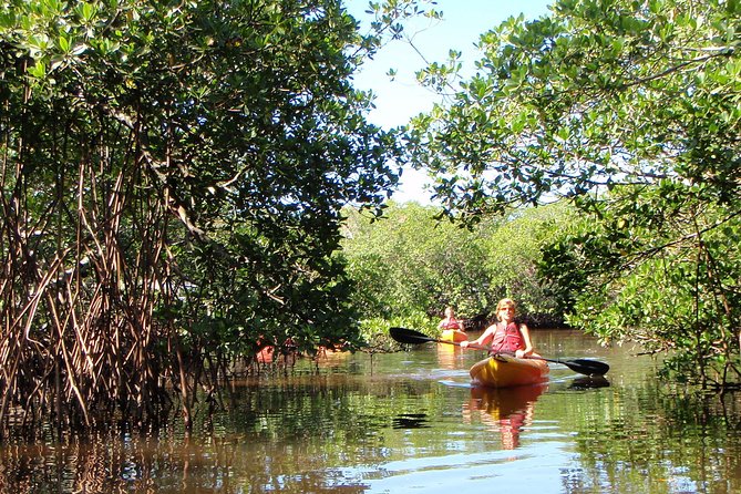 Guided Kayak Eco Tour - Bunche Beach - Guides make the biggest difference