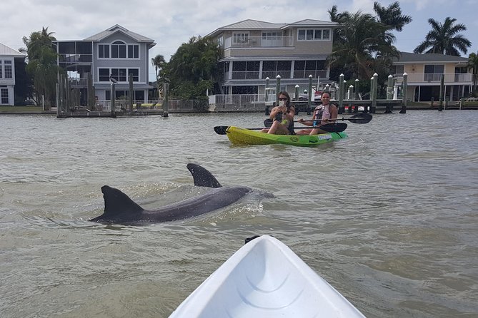 Guided Kayak Eco Tour - Bunche Beach - Is $69.95 a fair price?