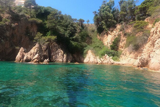 Guided Kayak & Snorkel tour to Costa Brava: Small Group and Lunch - Lunch on the rocks, with simple food that works