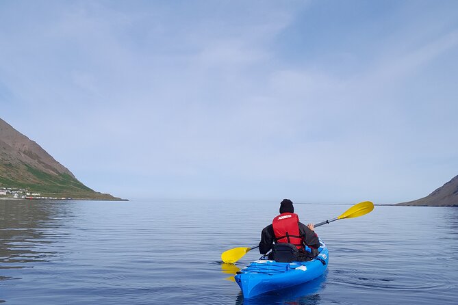 Guided kayak tour in Siglufjörður / Siglufjordur. - Paddling through the fjord