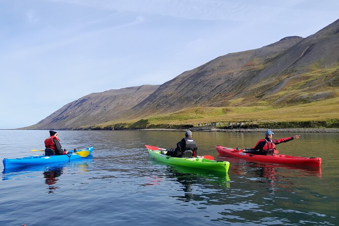 Guided kayak tour in Siglufjörður / Siglufjordur. - Is the $97.43 price good value?