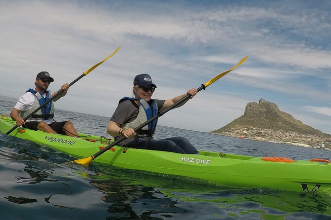 Guided Kayaking in Hout Bay - Seals, penguins, whales, and dolphins