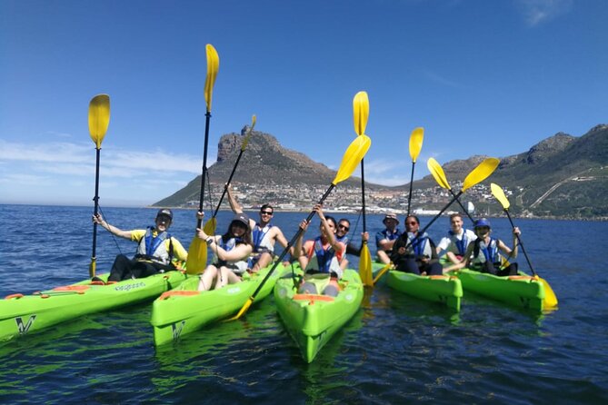 Guided Kayaking in Hout Bay - Chapman’s Peak, seen from a different angle
