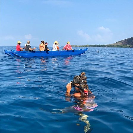 Guided Outrigger Canoe Tour in Kealakekua Bay - Who Will Enjoy This Outrigger Tour?