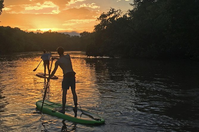 Guided Paddleboard Tour Through Asheville's River Arts District - Wildlife and the meeting of two rivers