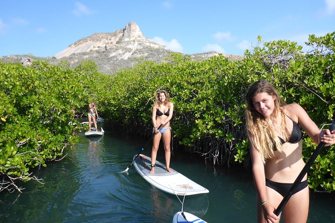 Guided paddleboarding (SUP) mangrove ECO tour for beginners - Key points to know before you book