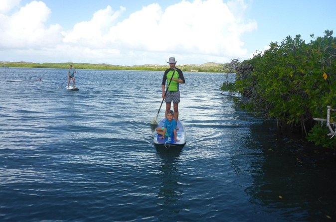 Guided paddleboarding (SUP) mangrove ECO tour for beginners - Sun, heat, and what to bring