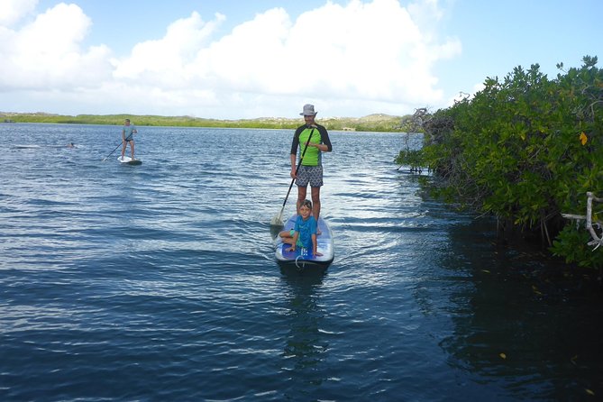 Guided paddleboarding (SUP) mangrove ECO tour for beginners - How beginner-friendly is it really?