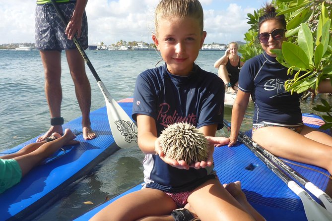 Guided paddleboarding (SUP) mangrove ECO tour for beginners - Paddling into the mangroves