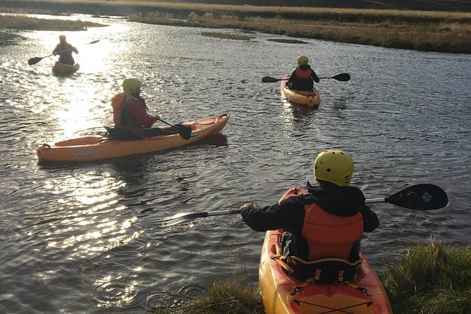 Guided Sit on Top Kayak Tour near Akureyri - Mountain views and local wildlife from the water