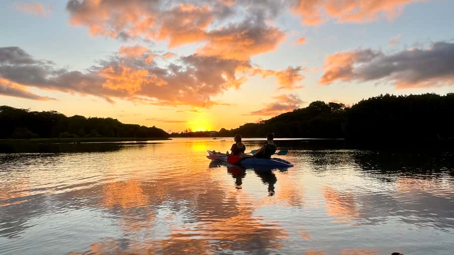 Guided Sundowner Kayak Tour - A drink, a paddle, and a little water