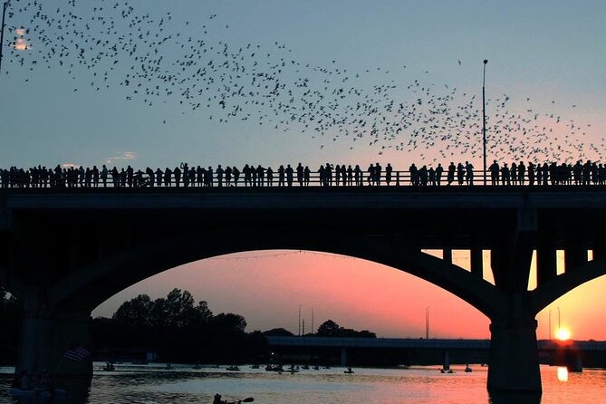 Guided Sunset Bat Kayak Tour in Austin - Practical details that can affect your evening