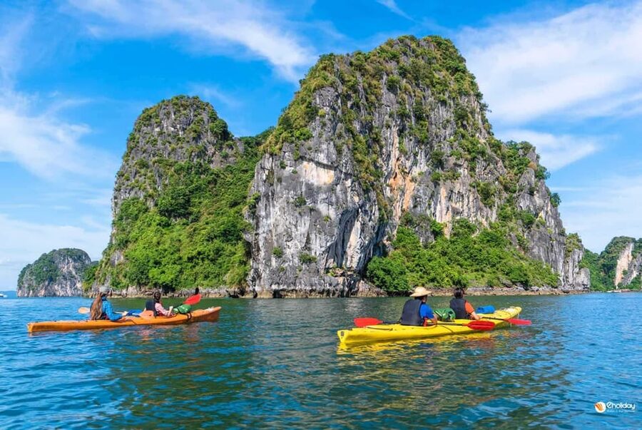 Ha Long 1 Day Luxury Small Group & Kayaking - Who should choose this Ha Long Bay day tour