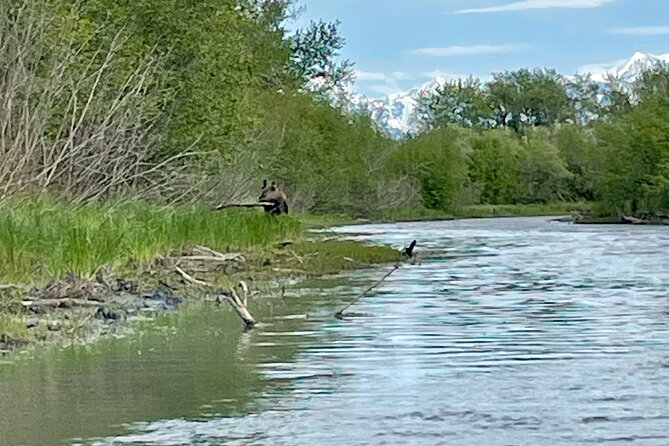 Half-Day Guided Kayak Tour on Knik River - Who will enjoy this most