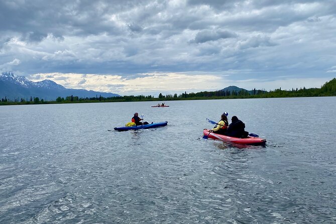 Half-Day Guided Kayak Tour on Knik River - McRoberts Creek: the muddy middle section