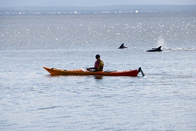 Half-Day Jervis Bay Sea Kayak Tour - Why Jervis Bay is best seen from a kayak