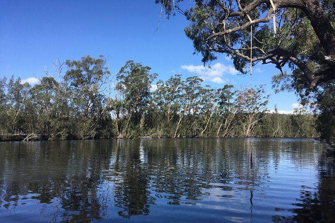 Half-Day Jervis Bay Sea Kayak Tour - The secluded beach break and morning tea