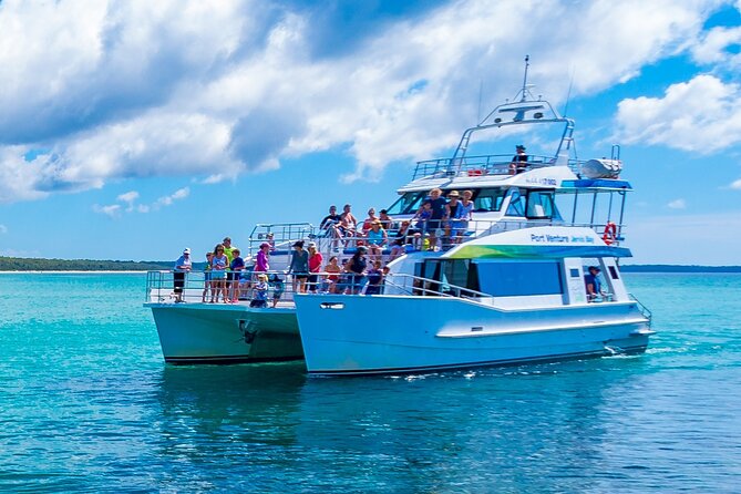 Half-Day Jervis Bay Sea Kayak Tour - What the guide adds to the outing