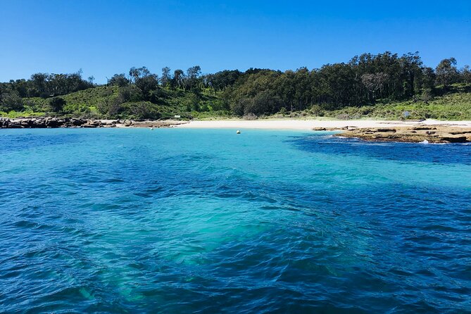 Half-Day Jervis Bay Sea Kayak Tour - Wildlife chances around Jervis Bay