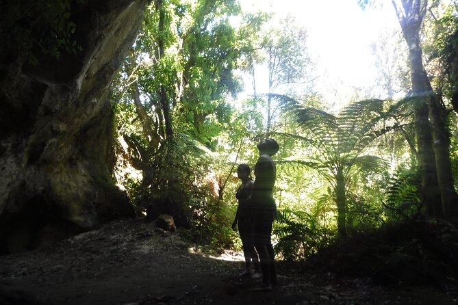 Half-Day Kayak to the Maori Rock Carvings in Lake Taupo - Should you book the Māori rock carvings kayak tour?
