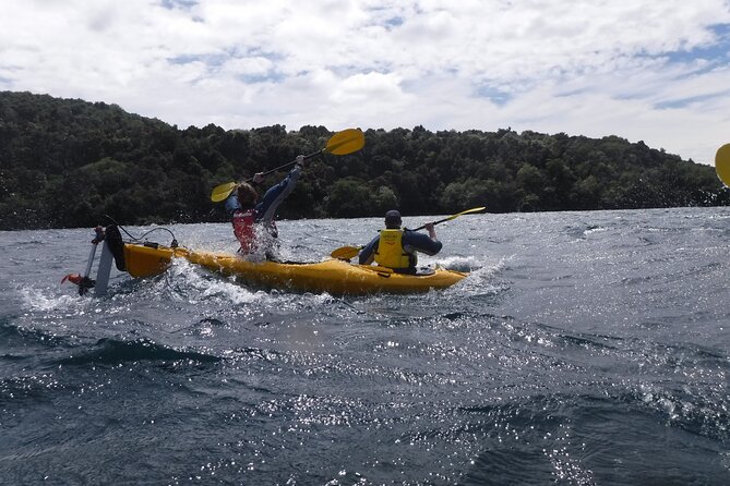 Half-Day Kayak to the Maori Rock Carvings in Lake Taupo - How hard is the paddling?