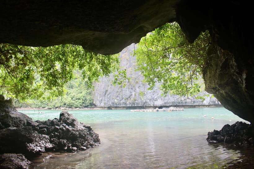 Half day Lan Ha Bay excursion ( 4 hours ): Kayaking, Snorkel - Cat Ba Town to Beo Wharf
