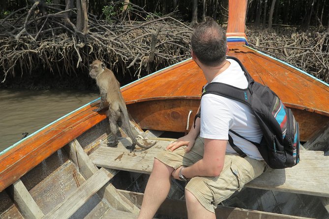 Half day Mangrove by Kayaking or Longtail boat from Koh Lanta - Is three hours enough for the mangroves?