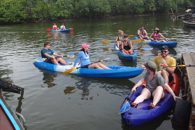 Half day Mangrove by Kayaking or Longtail boat from Koh Lanta - Monkey Point and the close wildlife encounters