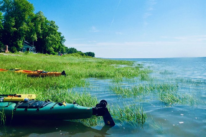 Half-Day Orleans Island Small-Group Sea Kayaking Tour - Why the St. Lawrence is the star of the trip