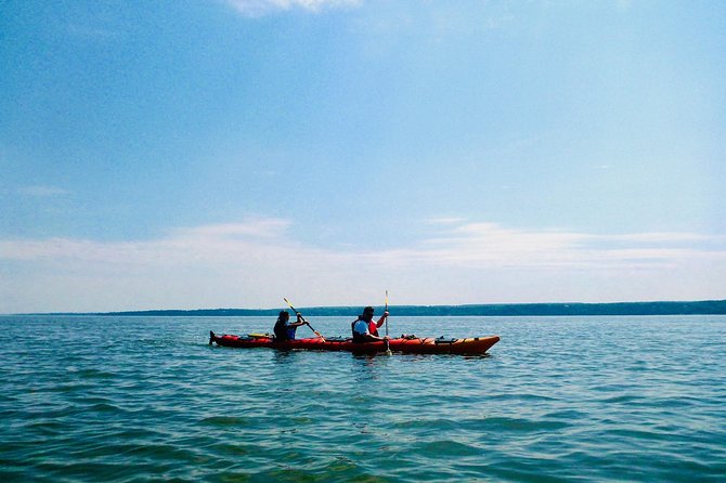 Half-Day Orleans Island Small-Group Sea Kayaking Tour - Following the guide along Île d’Orléans