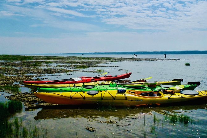 Half-Day Orleans Island Small-Group Sea Kayaking Tour - What the $59.20 price really covers