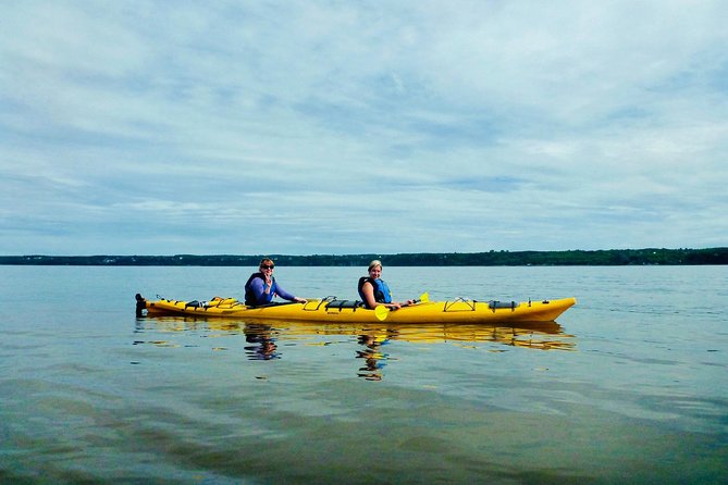 Half-Day Orleans Island Small-Group Sea Kayaking Tour - Weather, rain, and the decision to go