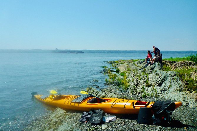 Half-Day Orleans Island Small-Group Sea Kayaking Tour - Is the Orléans Island kayak tour worth booking?