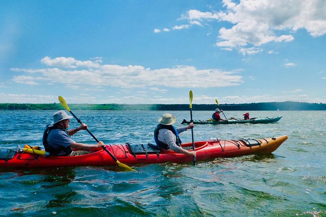 Half-Day Orleans Island Small-Group Sea Kayaking Tour - Getting started at Parc maritime de Saint-Laurent