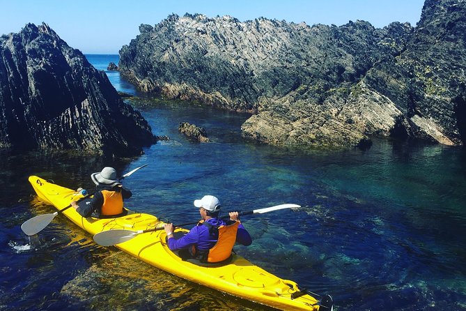 Half Day Sea Kayak Tour from Batemans Bay with Morning Tea - Why the Batemans Bay Marine Park matters