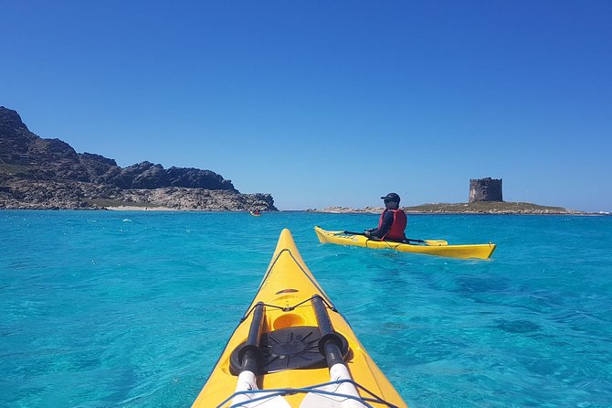 Half Day Sea Kayak Trip - Key points to know before you book