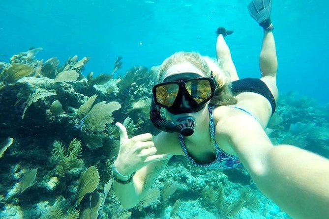 Half-Day Trip from Key West with Kayaking, Snorkeling & Sunset - Who Should Book This Excursion