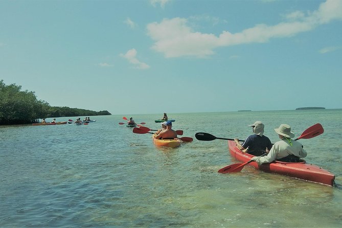 Half-Day Trip from Key West with Kayaking, Snorkeling & Sunset - Sailing Through Key West Harbor
