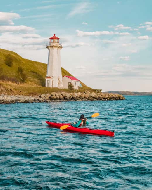 Halifax: Guided Kayak Tour with Multiple Options - Key points to know before you paddle
