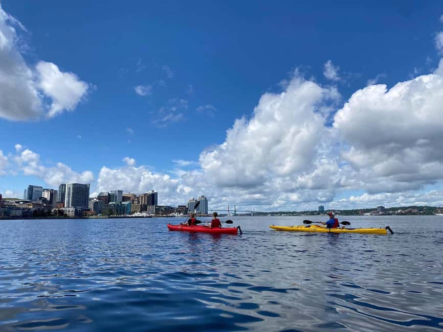 Halifax: Guided Kayak Tour with Multiple Options - Choosing your Halifax Harbour kayak tour