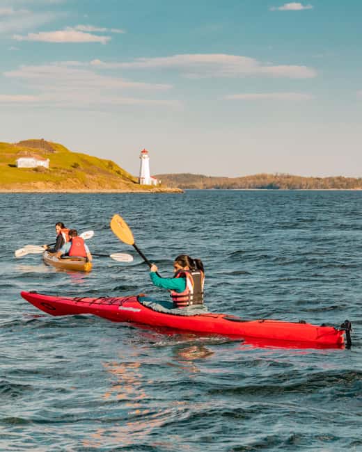 Halifax: Guided Kayak Tour with Multiple Options - What to bring and what to expect on the water