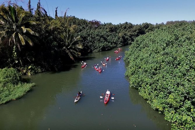 Hanalei Bay Morning Kayak and Snorkel Tour - The final call