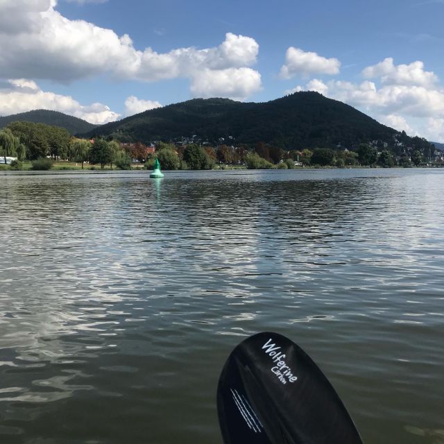 Heidelberg: 2-Hour Kayak Tour - Heidelberg’s castle looks different from the water