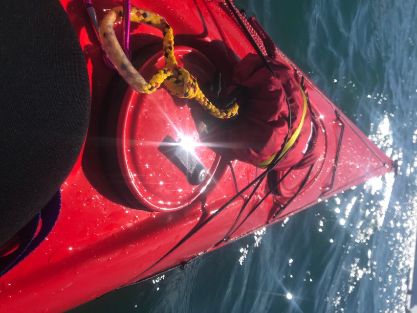 Heidelberg: 2-Hour Kayak Tour - What to wear for a comfortable paddle