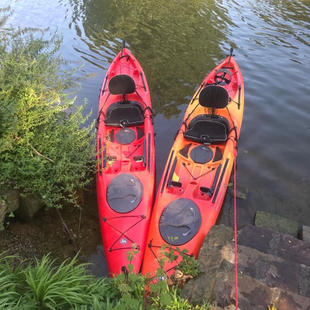 Heidelberg: 2-Hour Kayak Tour - Should you book it?
