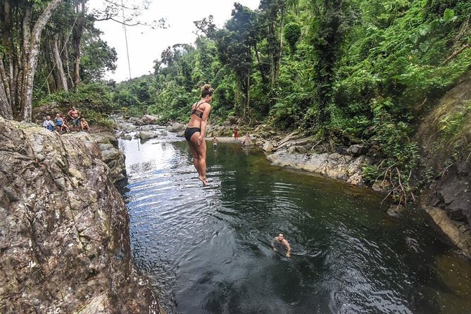 Hike El Yunque Rainforest and Kayak Bio Bay Combo Tour - The day begins with a long ride east