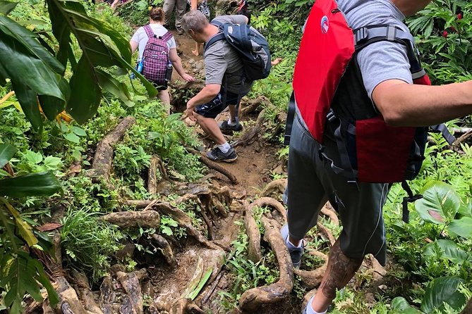 Hike El Yunque Rainforest and Kayak Bio Bay Combo Tour - Laguna Grande changes the pace after dark